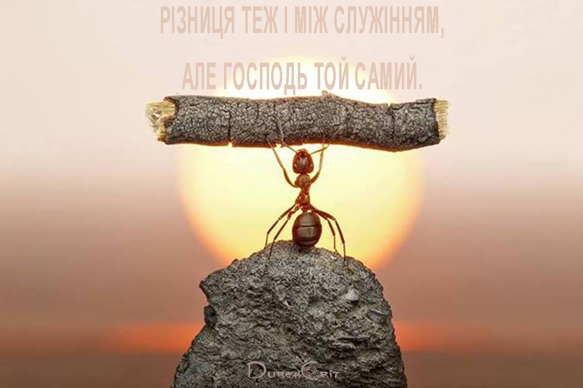 Святе Письмо з розважанням на 15 серпня