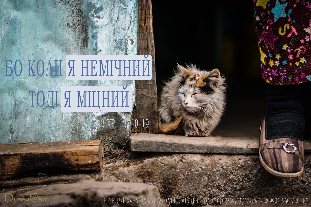 Святе Письмо з розважанням на 19 вересня