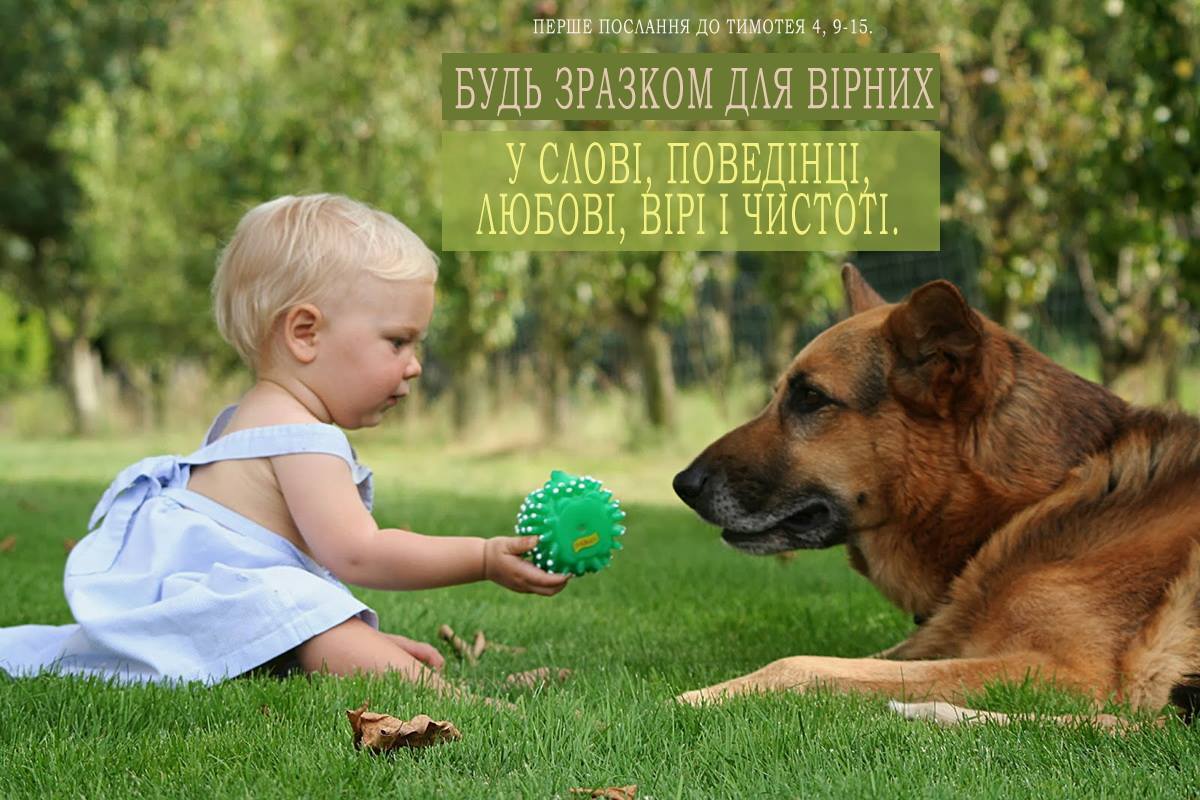 Святе Письмо з розважанням на 29 січня