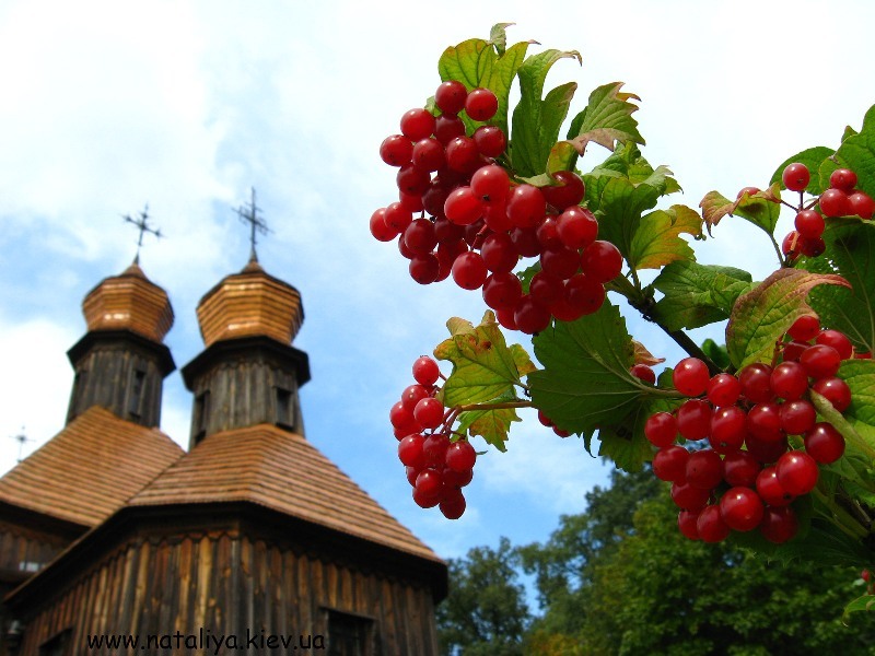 Чому ще немає єдиної Церкви в Україні?