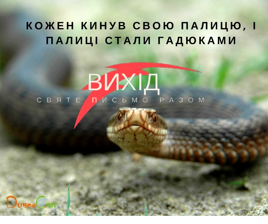 Читаємо Святе Письмо разом. Вихід 7