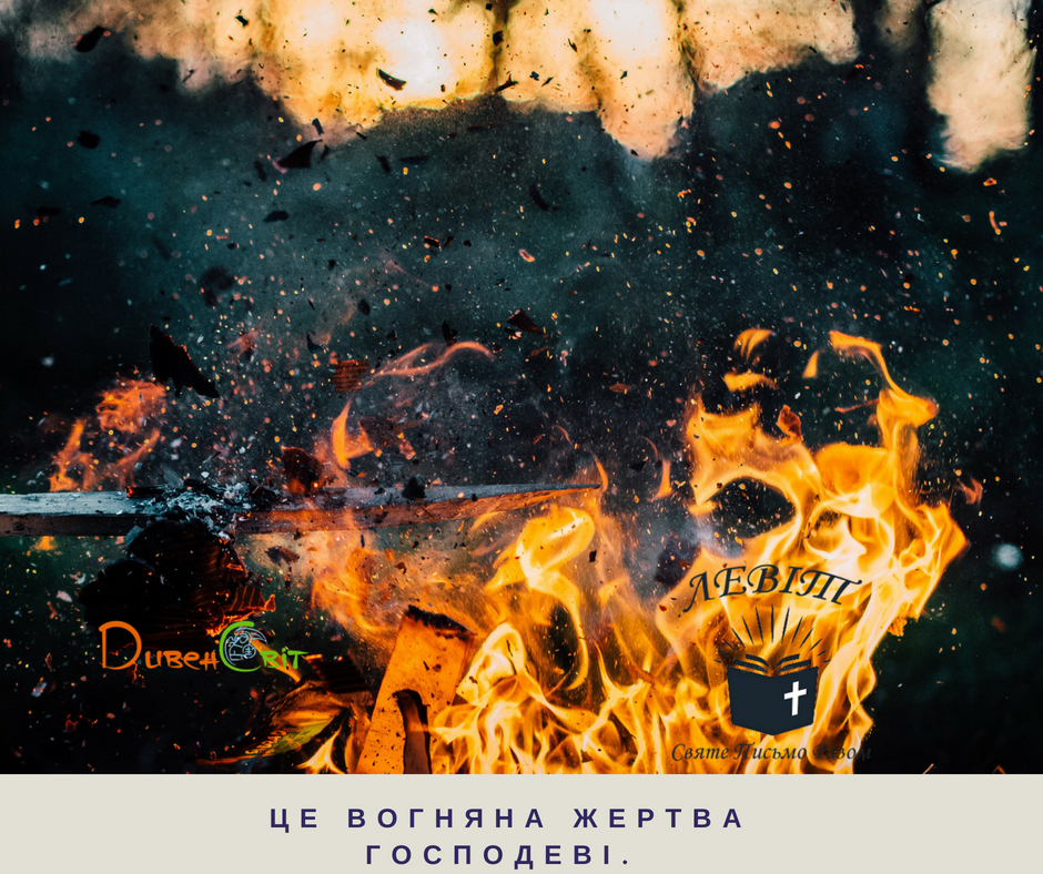 Читаємо Святе Письмо разом