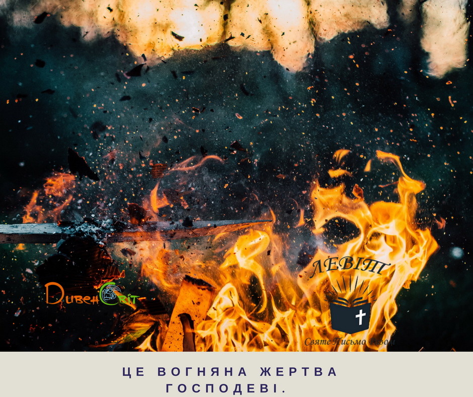 Читаємо Святе Письмо разом
