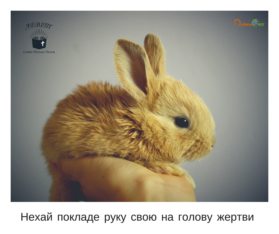 Читаємо Святе Письмо разом. Левіт 3