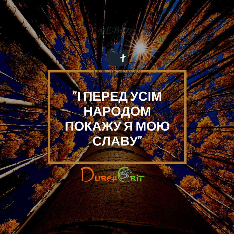 Читаємо Святе Письмо разом. Левіт 10