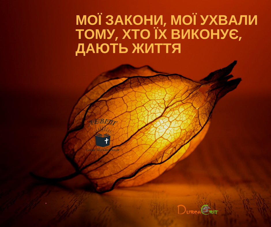 Читаємо Святе Письмо разом. Левіт 18