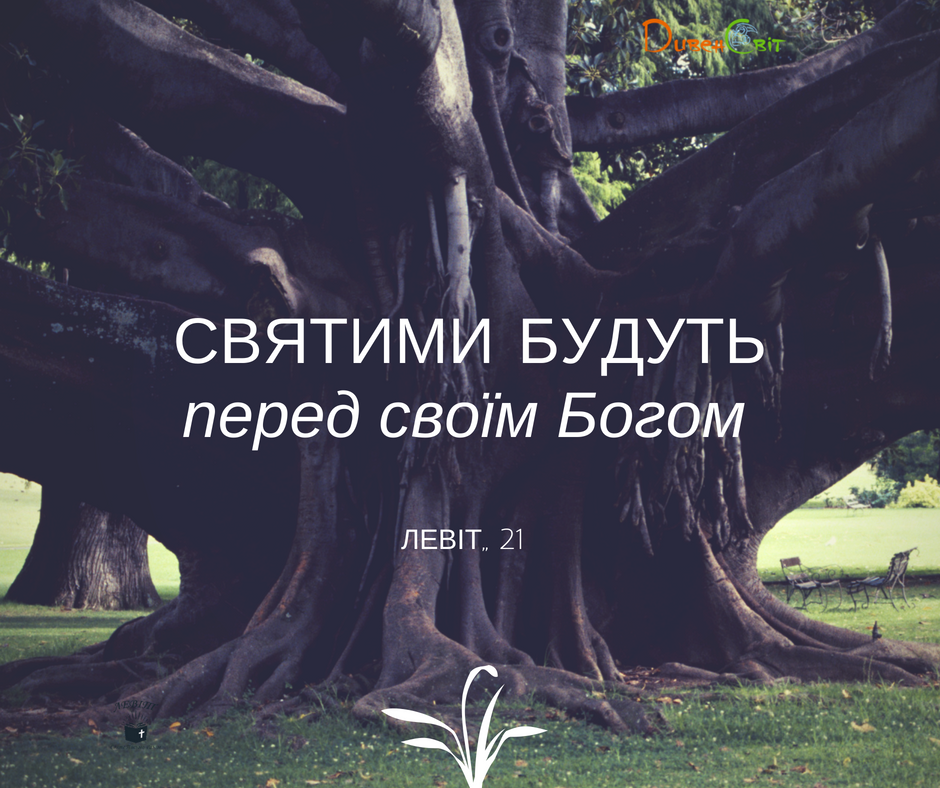 Читаємо Святе Письмо разом. Левіт 21
