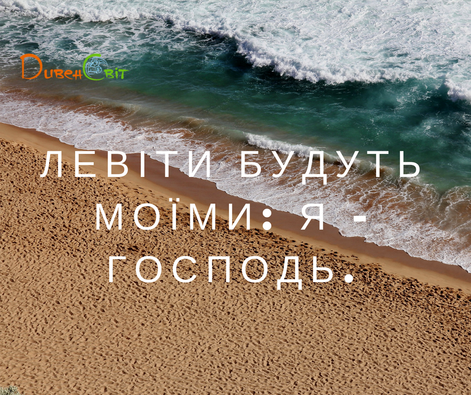 Читаємо Святе Письмо разом. Левіт 3