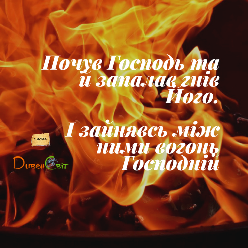 Читаємо Святе Письмо разом. Числа 11