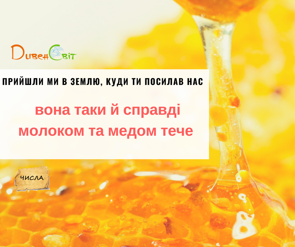 Читаємо Святе Письмо разом. Числа 13