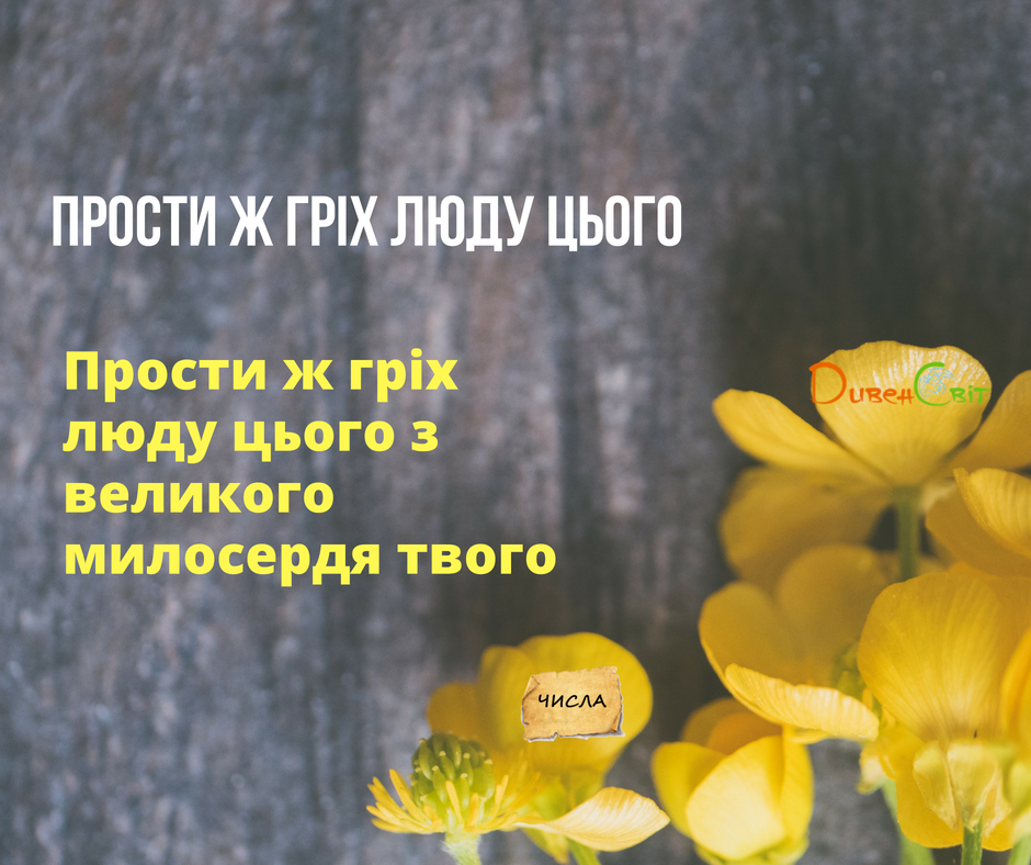 Читаємо Святе Письмо разом. Числа 14
