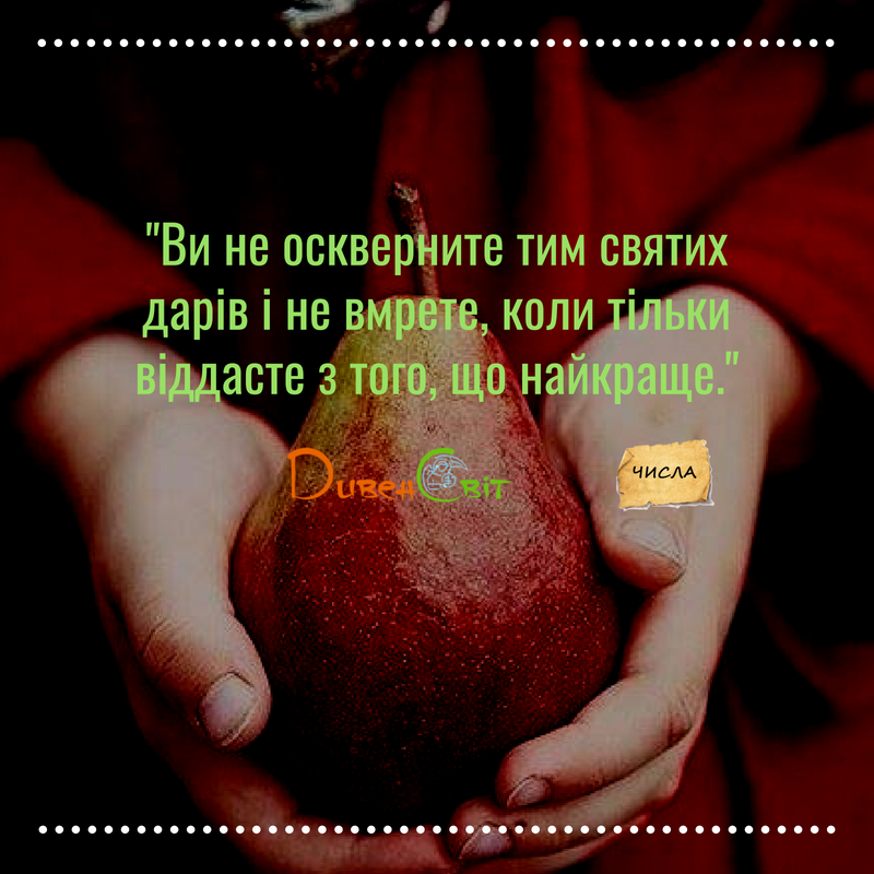 Читаємо Святе Письмо разом. Числа 18.