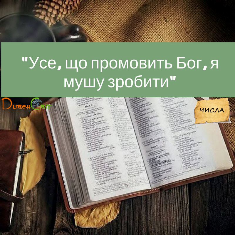 Читаємо Святе Письмо разом. Числа 23