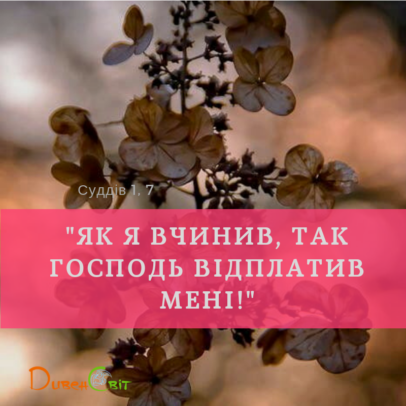 Читаємо Святе Письмо разом. Книга суддів 1