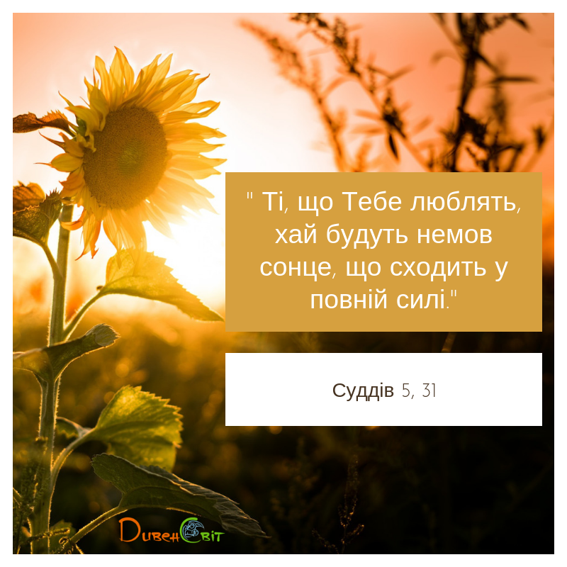 Читаємо Святе Письмо разом. Книга суддів 5