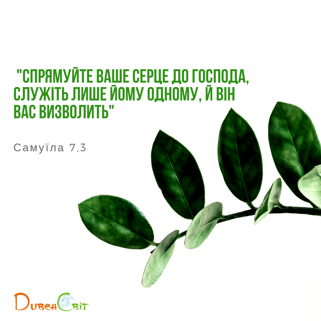 Читаєммо Святе Письмо разом. Самуїла 7