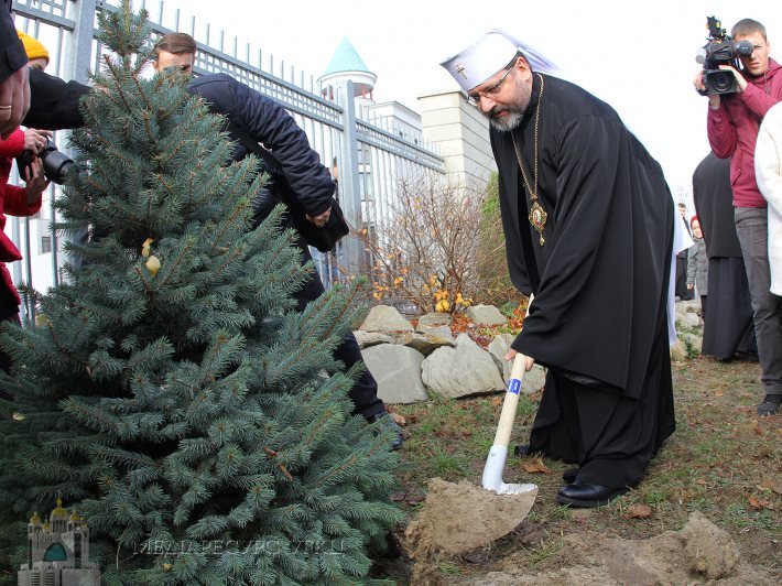 Глава УГКЦ закликає відмовитися від зрубаних живих ялинок з нагоди новорічних та різдвяних свят