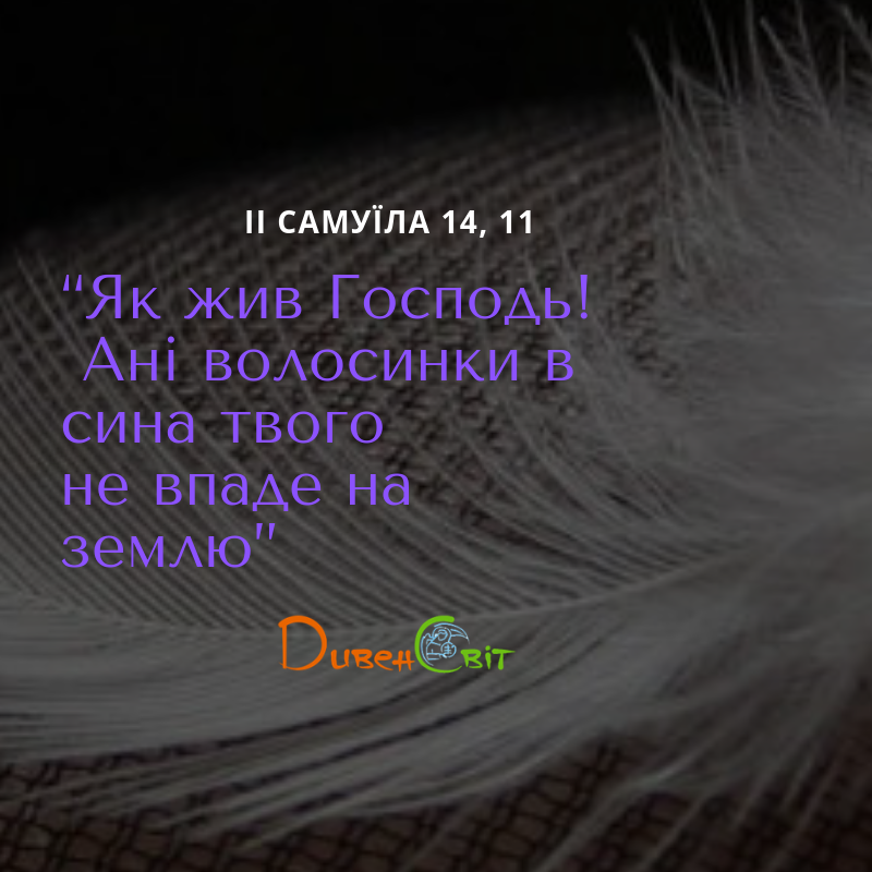 Читаємо Святе Письмо разом. ІІ Самуїла 14
