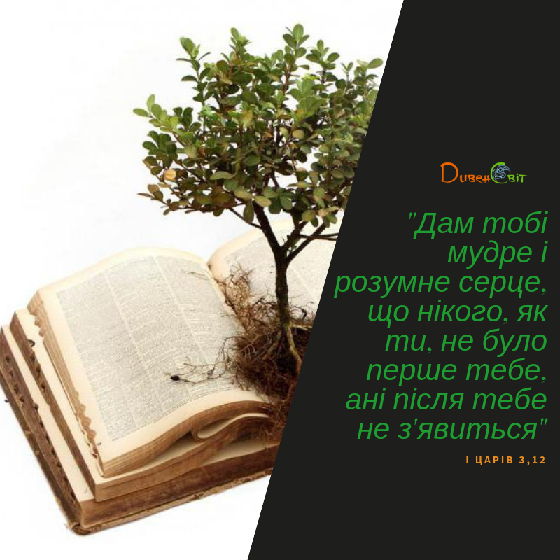 Читаємо Святе Письмо разом. І Царів 3