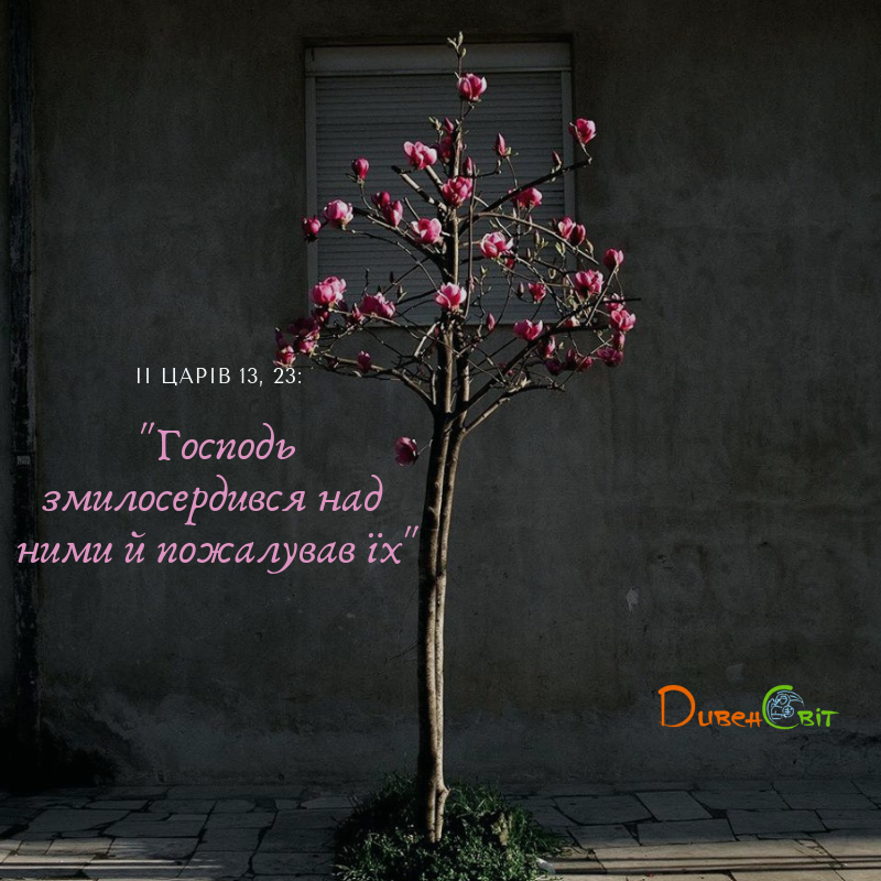 Читаємо Святе Письмо разом. ІІ Царів 11-13