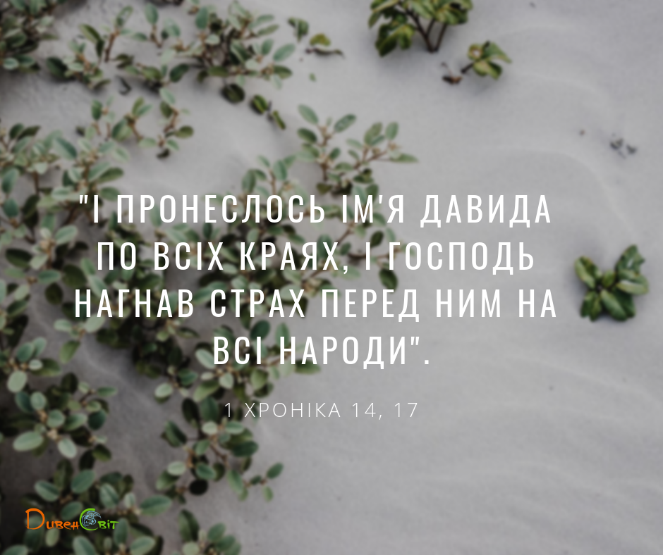 Читаємо Святе Письмо разом. 1 Хроніка 13