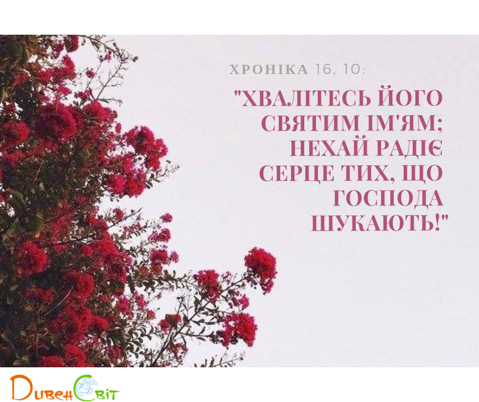 Читаємо Святе Письмо разом. І Хроніка 15-16