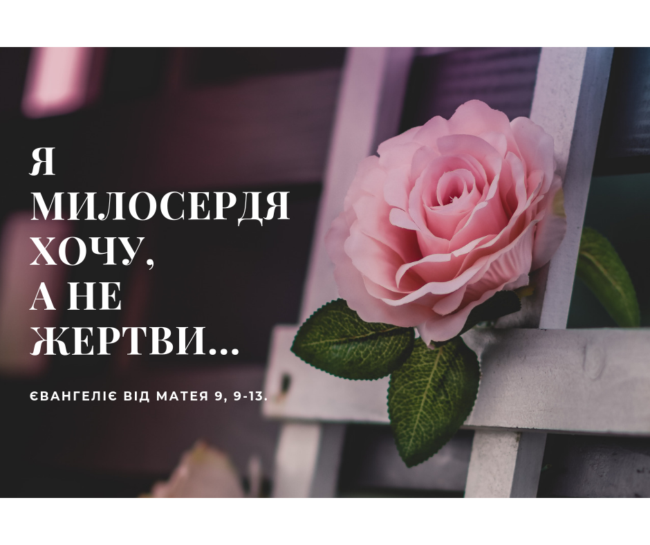 Святе Письмо з розважаннями на 8 липня