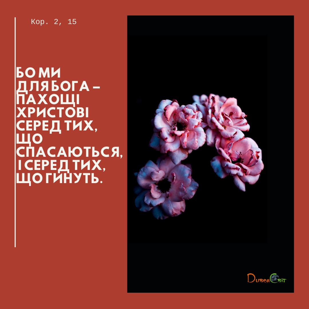 Святе Письмо з розважаннями на 15 серпня