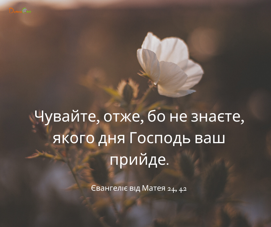 Святе Письмо з розважаннями на 18 серпня