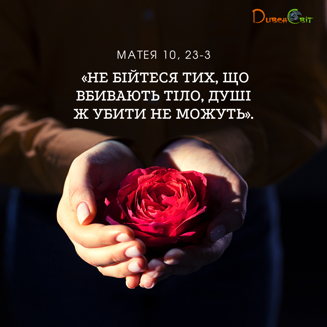 Святе Письмо з розважанням на 11 липня